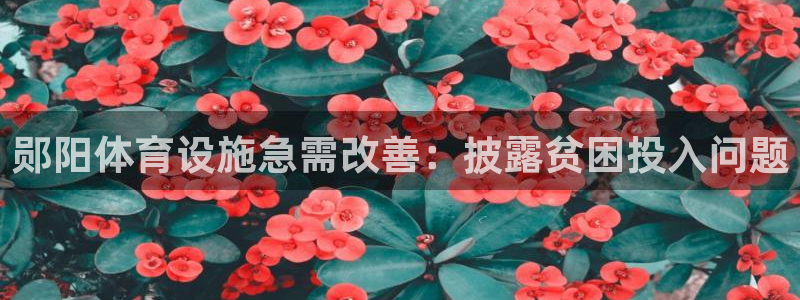 意昂3新能源：郧阳体育设施急需改善：披露贫困投入问题