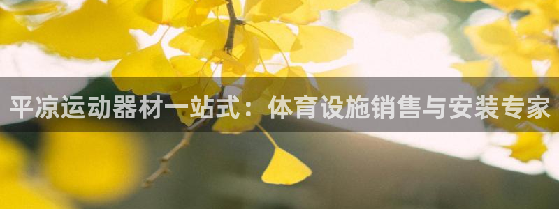 意昂3娱乐40996：平凉运动器材一站式：体育设施销