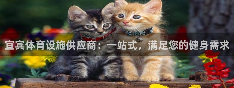 意昂体育3是干嘛的公司：宜宾体育设施供应商：一站式，