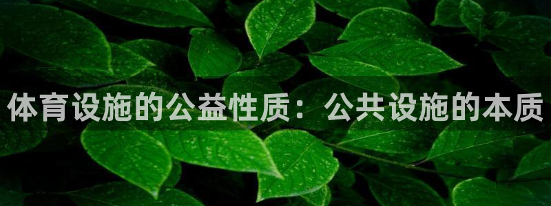 意昂3代理：体育设施的公益性质：公共设施的本质