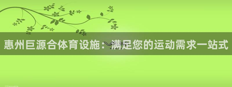 德国意昂3集团：惠州巨源合体育设施：满足您的运动需求