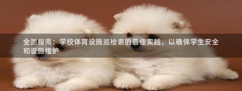 意昂体育3平台注册流程视频：全面指南：学校体育设施巡