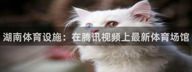 意昂3新能源：湖南体育设施：在腾讯视频上最新体育场馆