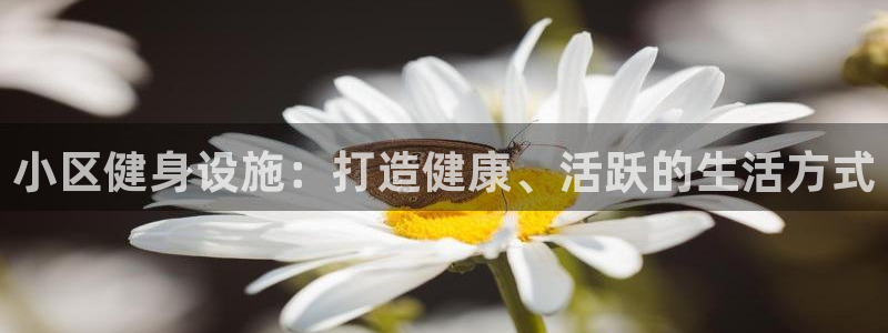 意昂3科技：小区健身设施：打造健康、活跃的生活方式