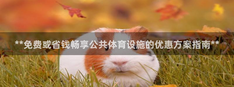 意昂体育3招商电话：**免费或省钱畅享公共体育设施的
