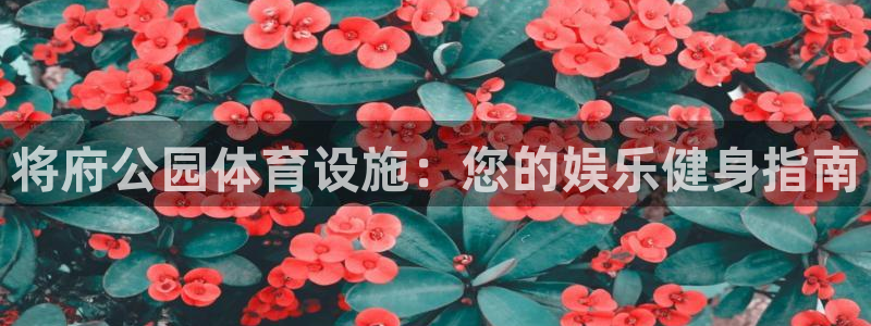 意昂体育3招商电话地址是多少：将府公园体育设施：您的