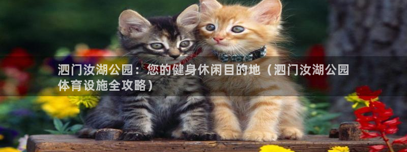 意昂体育3：泗门汝湖公园：您的健身休闲目的地（泗门汝