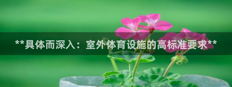 意昂体育3平台注册流程视频：**具体而深入：室外体育