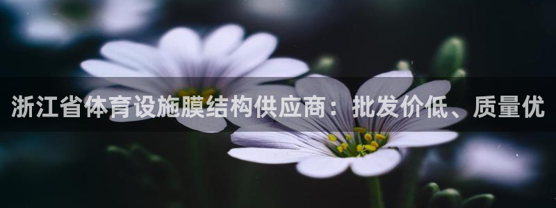 意昂体育3招商电话是多少：浙江省体育设施膜结构供应商