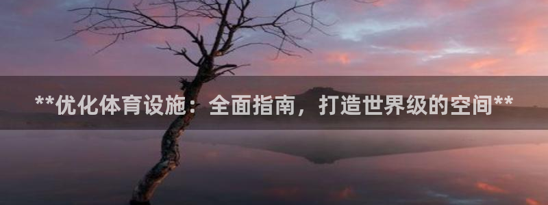 意昂3集团logo：**优化体育设施：全面指南，打造