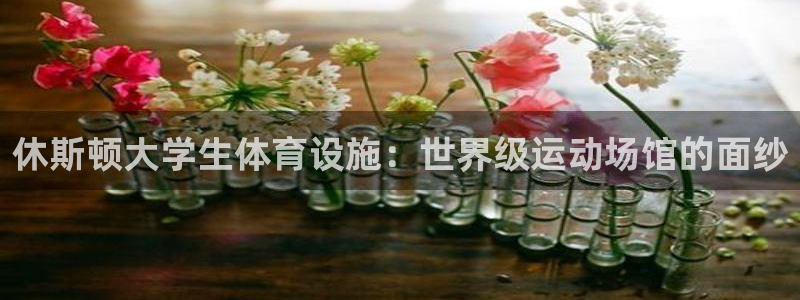 意昂3集团官网首页：休斯顿大学生体育设施：世界级运动