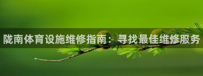 意昂体育3招商电话：陇南体育设施维修指南：寻找最佳维