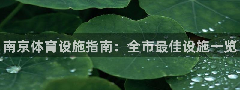 意昂集团官网：南京体育设施指南：全市最佳设施一览