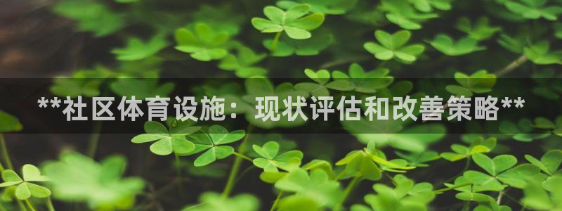 意昂3新能源：**社区体育设施：现状评估和改善策略*