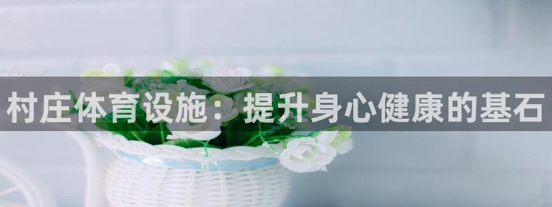 意昂体育3注册：村庄体育设施：提升身心健康的基石