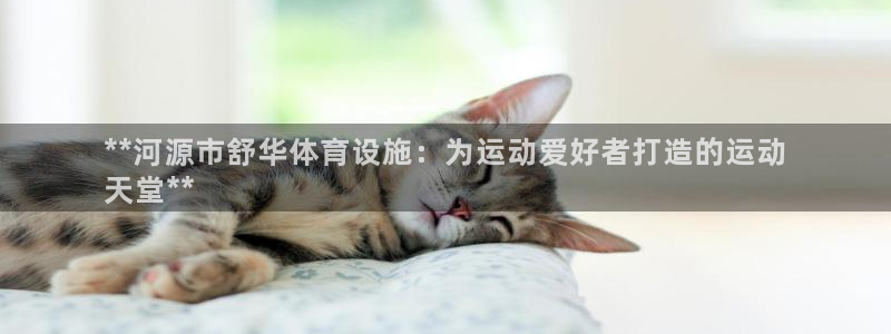 意昂3集团简介：**河源市舒华体育设施：为运动爱好者
