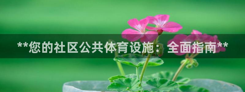 意昂集团官网：**您的社区公共体育设施：全面指南**