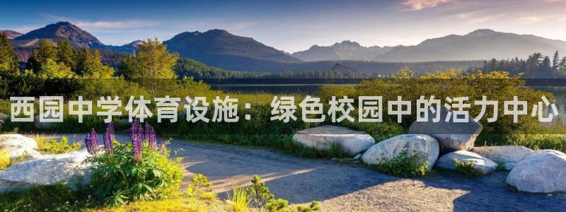 意昂体育3平台假的吗是真的吗：西园中学体育设施：绿色