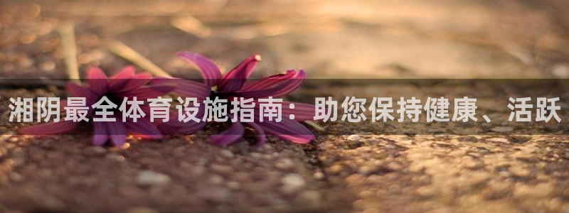 意昂3科技：湘阴最全体育设施指南：助您保持健康、活跃