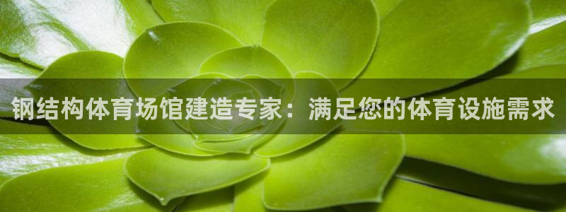 意昂体育3平台是正规平台吗安全吗：钢结构体育场馆建造