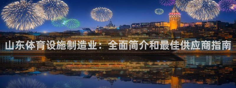 意昂体育3招商：山东体育设施制造业：全面简介和最佳供