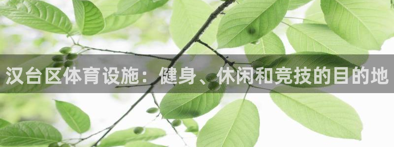 意昂3娱乐平台：汉台区体育设施：健身、休闲和竞技的目