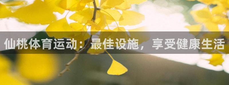 意昂体育3平台注册流程图：仙桃体育运动：最佳设施，享
