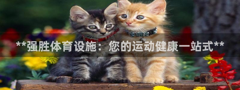 意昂体育3平台注册流程图：**强胜体育设施：您的运动