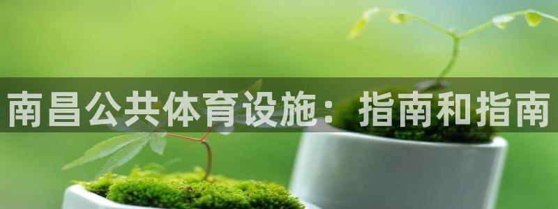 意昂平台体育：南昌公共体育设施：指南和指南