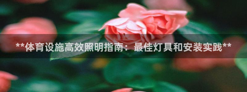 意昂体育3招商：**体育设施高效照明指南：最佳灯具和