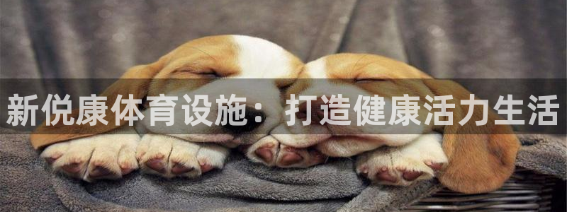 意昂体育3招商电话号码是多少号：新侻康体育设施：打造