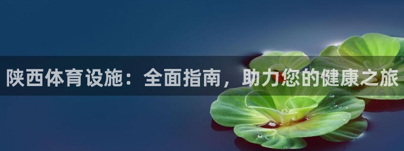 意昂体育3平台注册流程图：陕西体育设施：全面指南，助