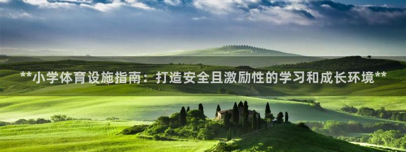 德国意昂3集团：**小学体育设施指南：打造安全且激励