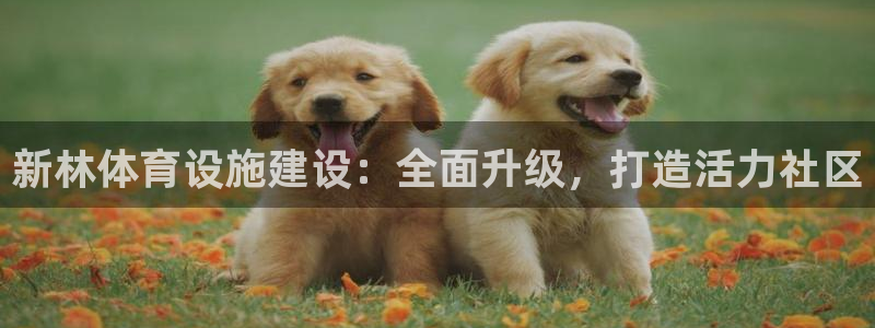 意昂体育3招商电话：新林体育设施建设：全面升级，打造