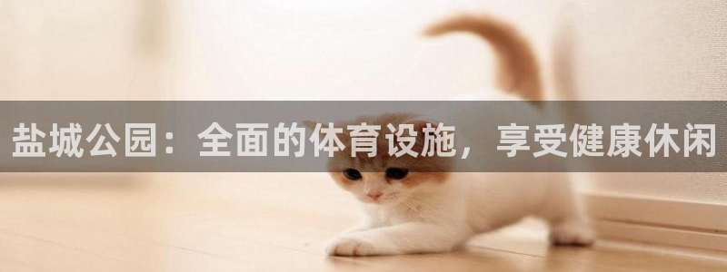 意昂3娱乐平台：盐城公园：全面的体育设施，享受健康休