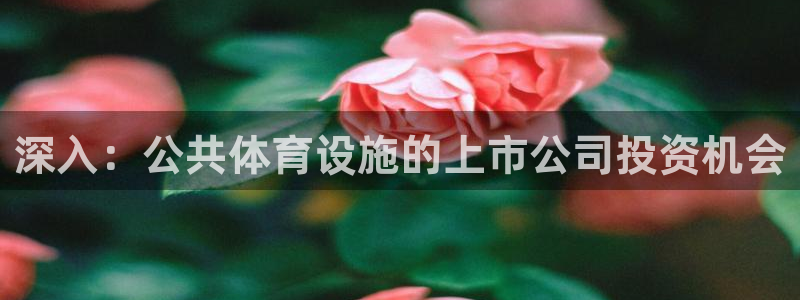 意昂体育3招商电话号码查询是多少：深入：公共体育设施