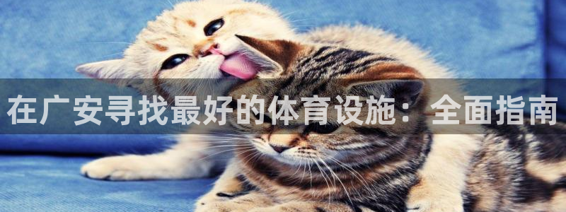 海南意昂体育3：在广安寻找最好的体育设施：全面指南