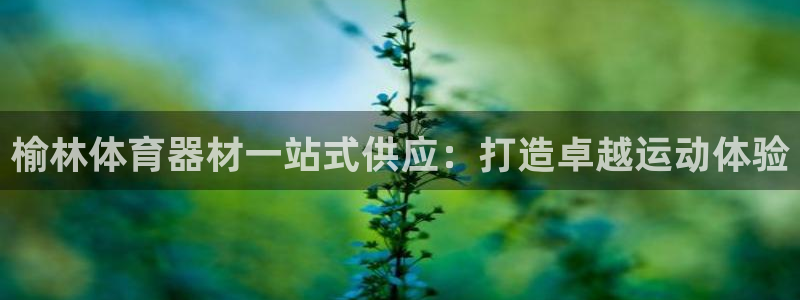 意昂体育3平台注册流程图：榆林体育器材一站式供应：打