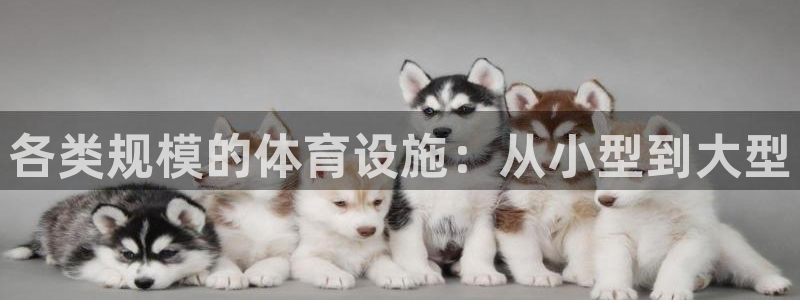 意昂体育3招商电话地址是多少：各类规模的体育设施：从