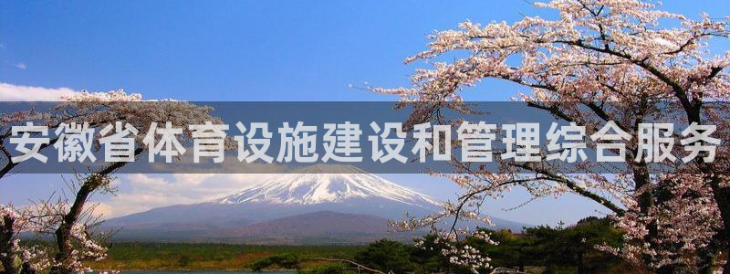 意昂平台体育：安徽省体育设施建设和管理综合服务