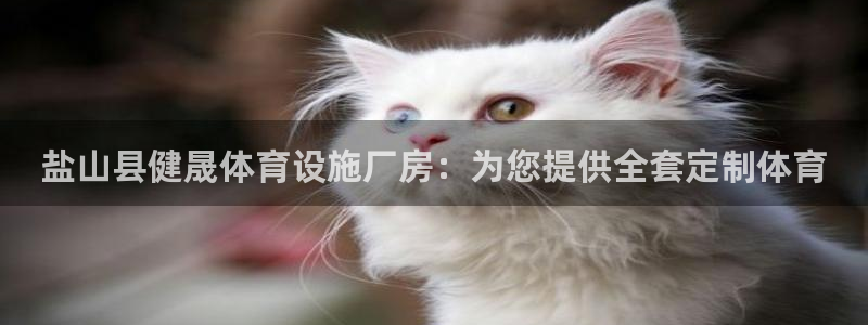 意昂3新能源：盐山县健晟体育设施厂房：为您提供全套定