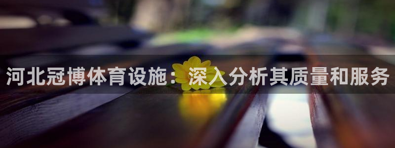 意昂3娱乐首页官网下载：河北冠博体育设施：深入分析其