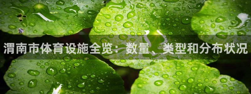 意昂体育3平台注册要钱吗：渭南市体育设施全览：数量、
