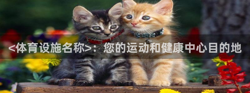 意昂体育3平台注册要钱吗是真的吗：<体育设施名称>：