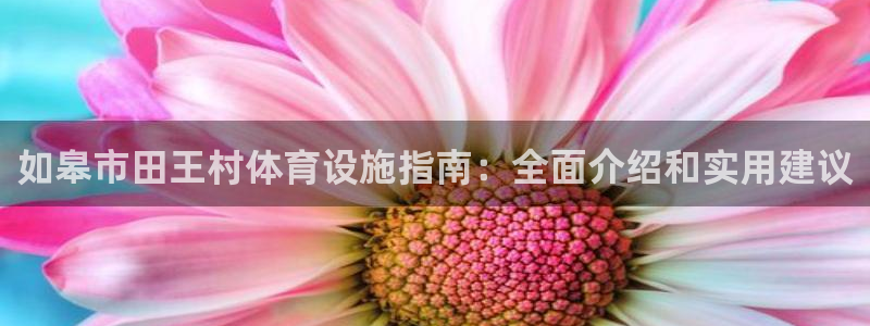 意昂体育3招商电话号码是多少啊：如皋市田王村体育设施