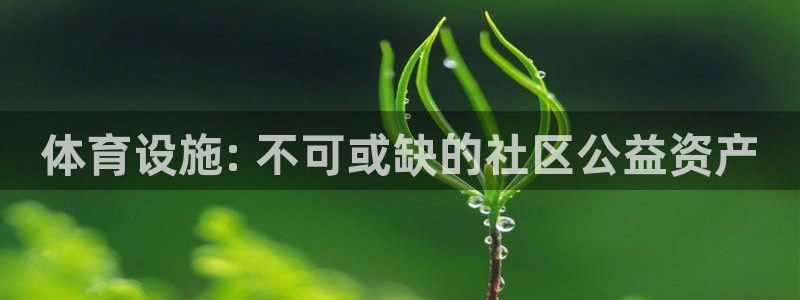 意昂体育3招商电话号码查询：体育设施: 不可或缺的社