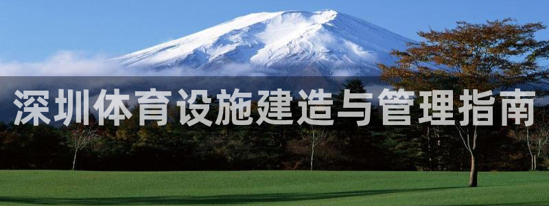 意昂3集团E.ON：深圳体育设施建造与管理指南
