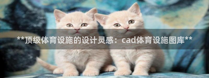 意昂3集团官网首页：**顶级体育设施的设计灵感：ca
