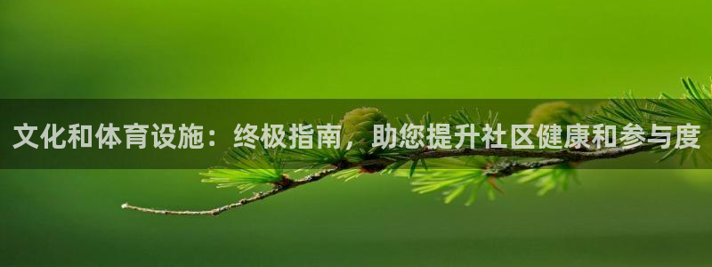 意昂体育3平台注册流程图：文化和体育设施：终极指南，