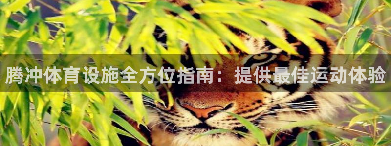 意昂体育3招商电话地址：腾冲体育设施全方位指南：提供